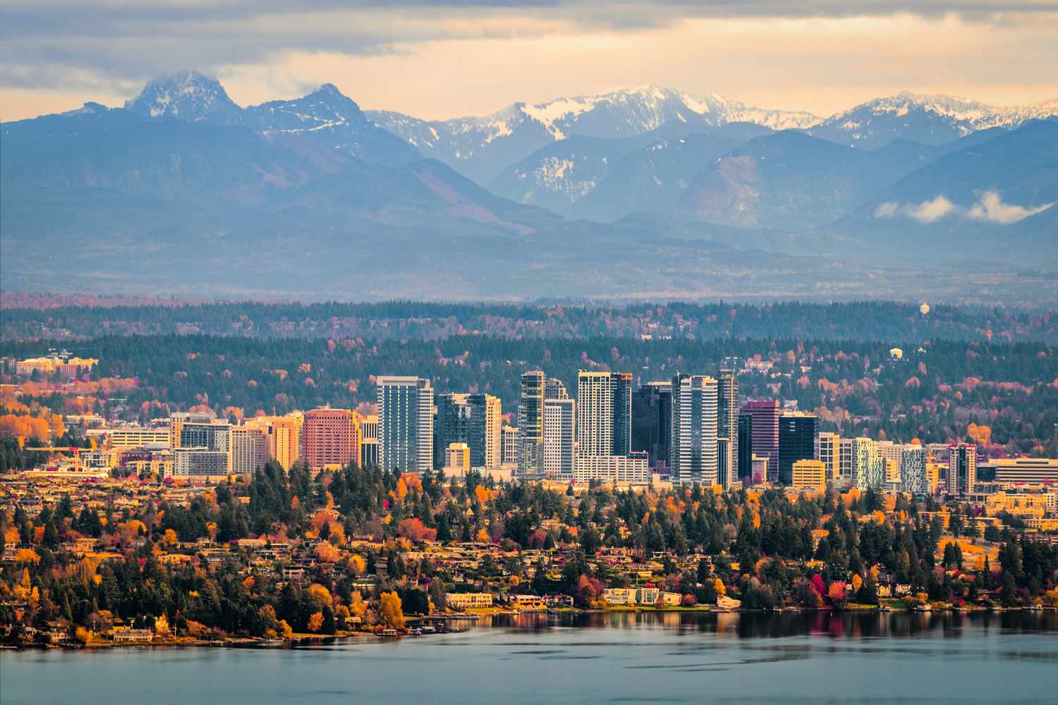 bellevue