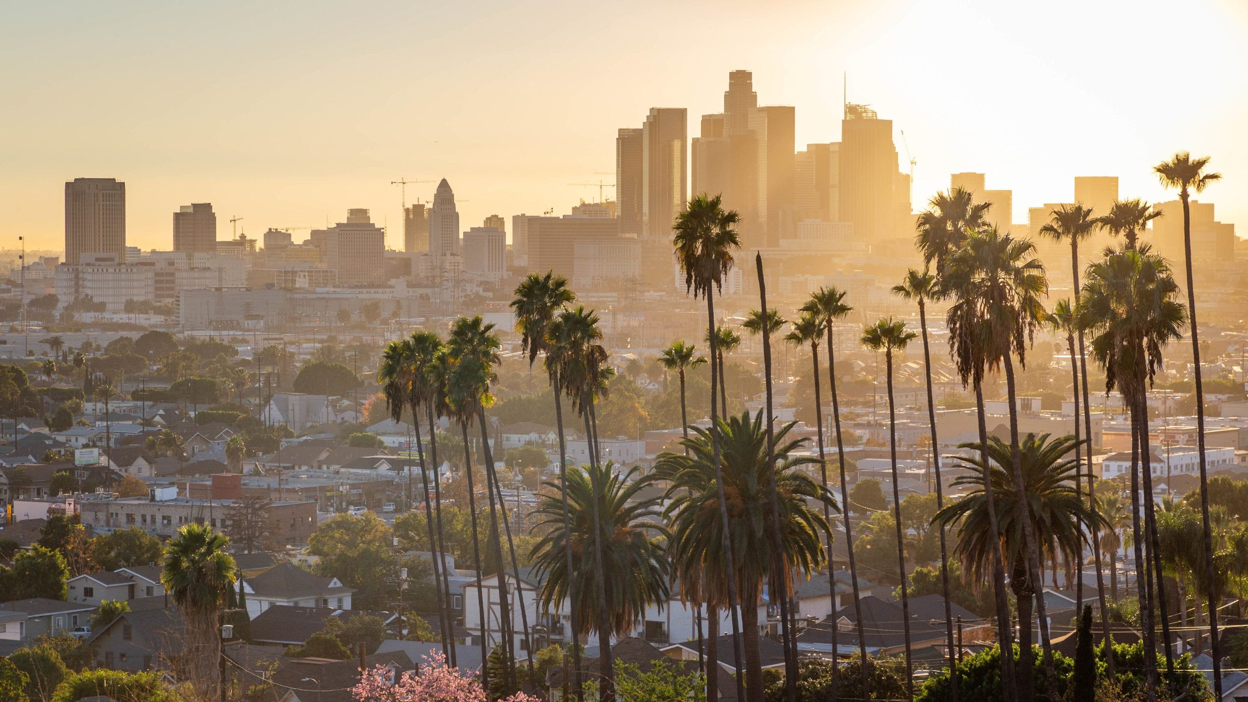 los-angeles
