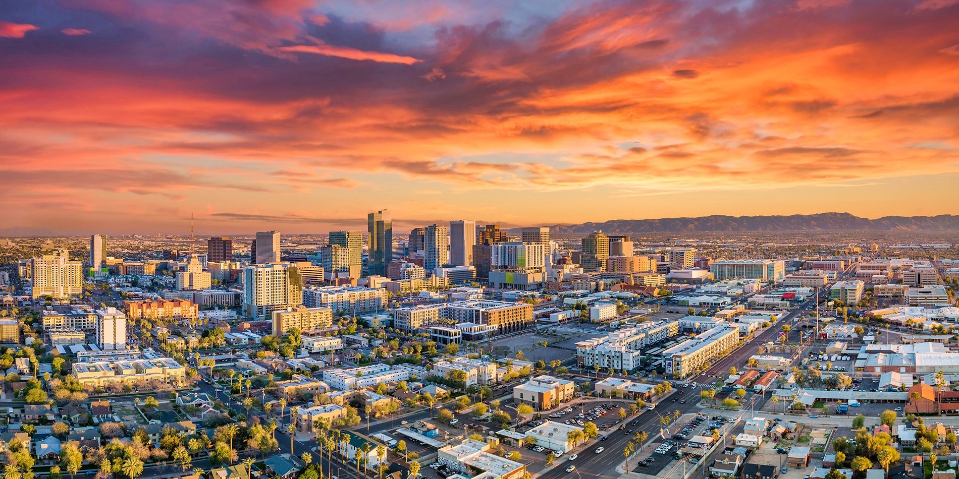 phoenix